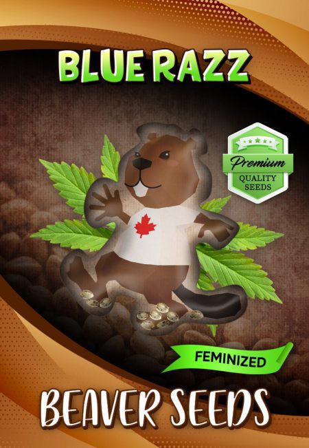 Blue Razz-image