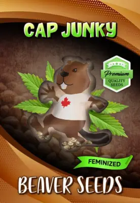 Cap Junky