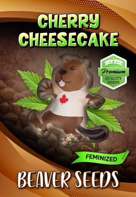 Cherry Cheesecake-image