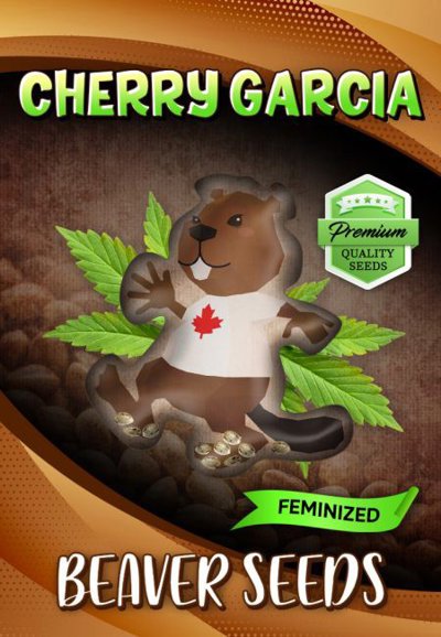 Cherry Garcia