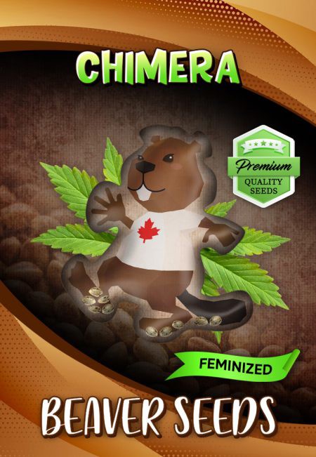 Chimera-image
