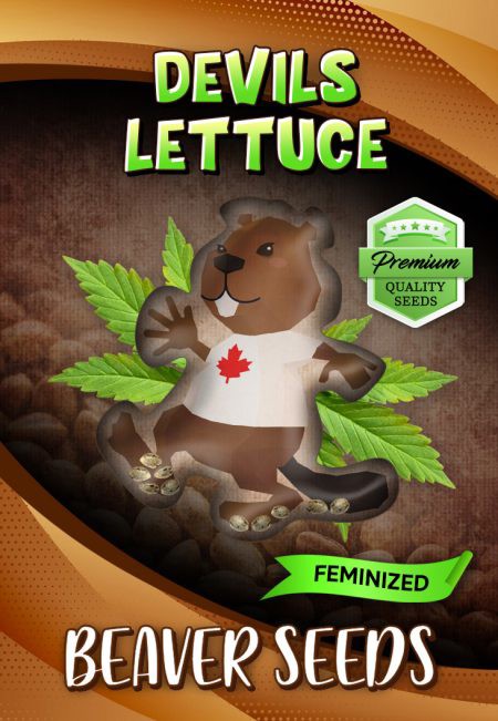 Devils Lettuce-image