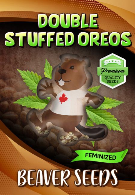 Double Stuffed Oreos-image