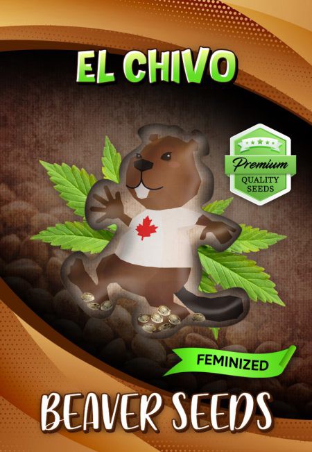 El Chivo-image