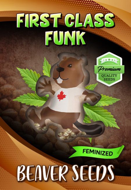 First Class Funk-image