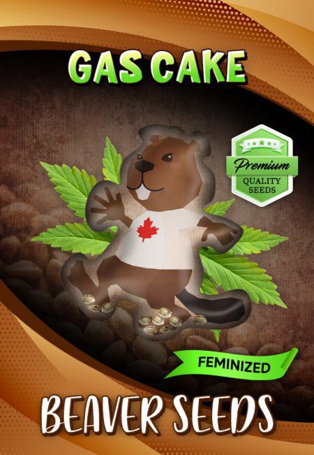 Gas Cake-image
