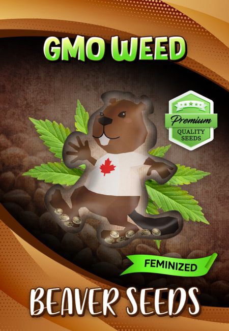 GMO Weed-image