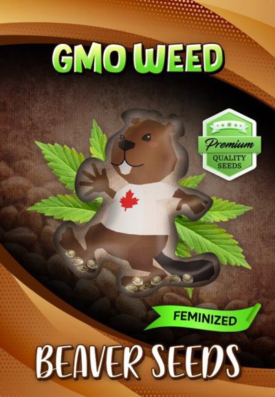 GMO Weed