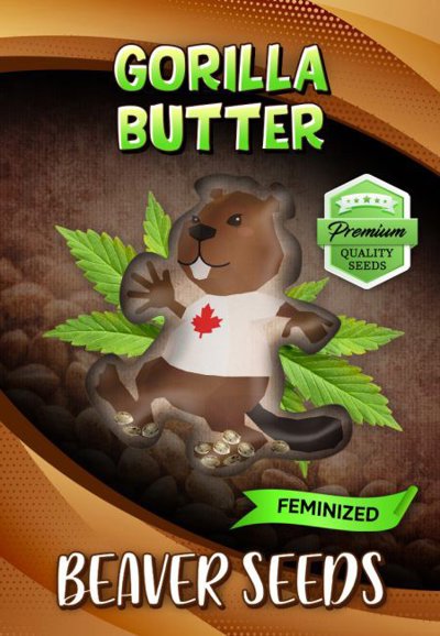 Gorilla Butter