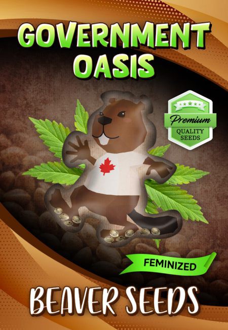 Government Oasis-image