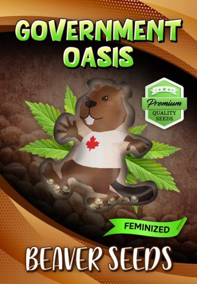 Government Oasis