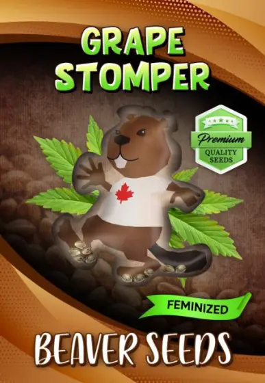 Grape Stomper