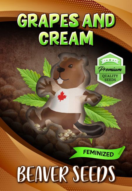 Grapes and Cream-image