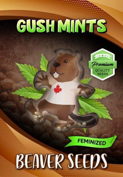 Gush Mints