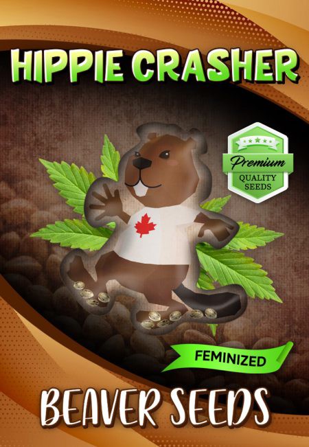 Hippie Crasher-image