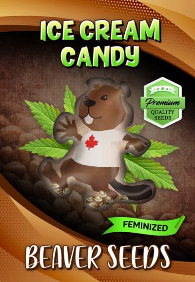 Ice Cream Candy