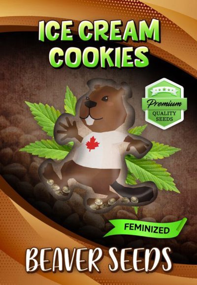 Ice Cream Cookies