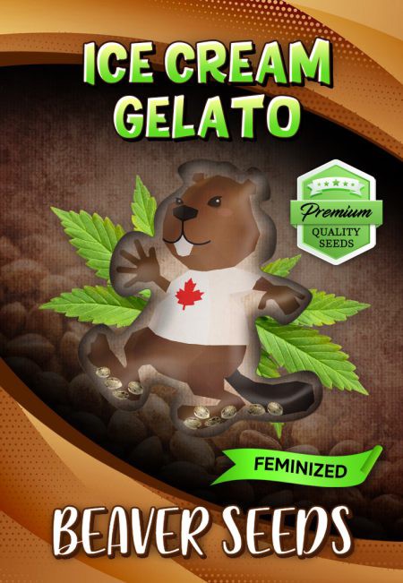 Ice Cream Gelato-image