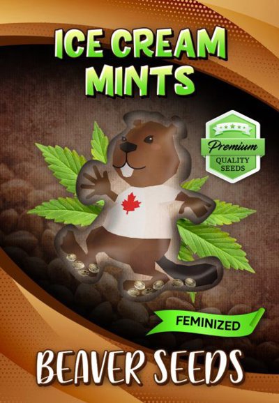 Ice Cream Mints