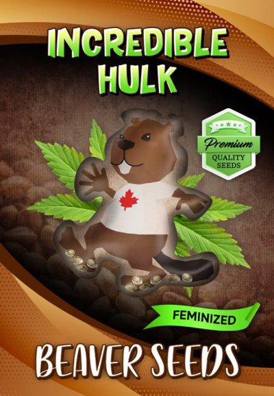 Incredible Hulk