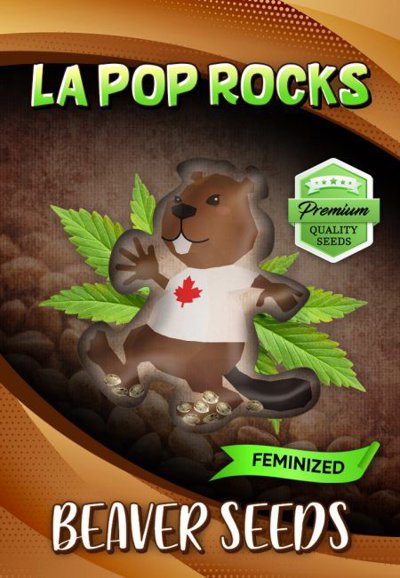 La Pop Rocks