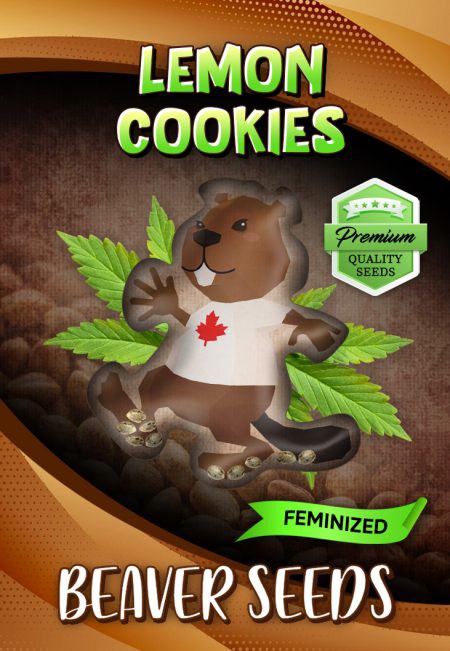 Lemon Cookies-image