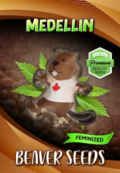 Medellin