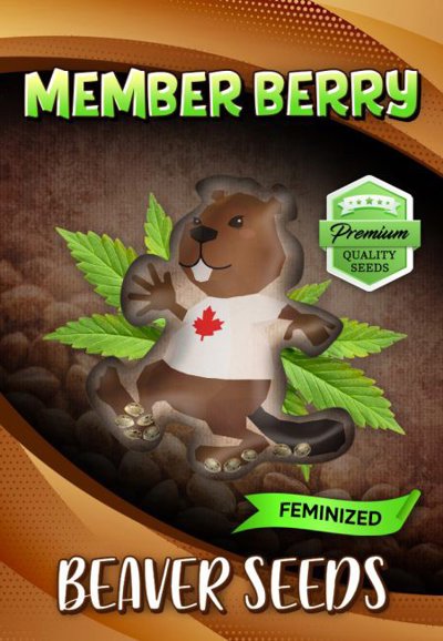 Member Berry