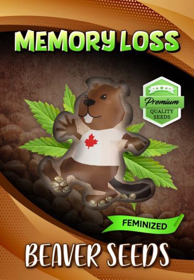 Memory Loss