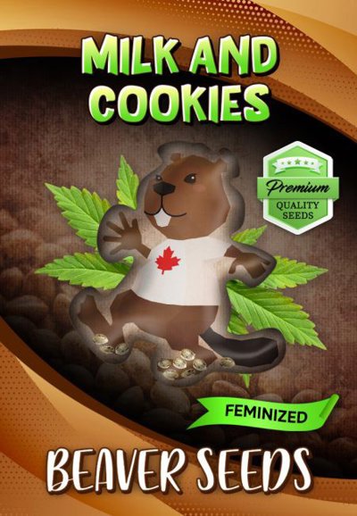 Milk and Cookies