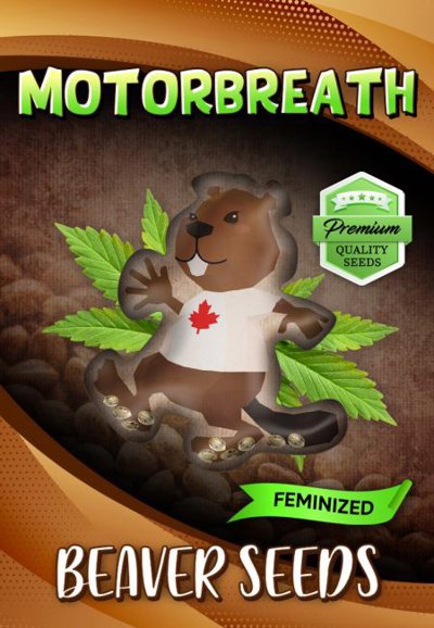 Motorbreath