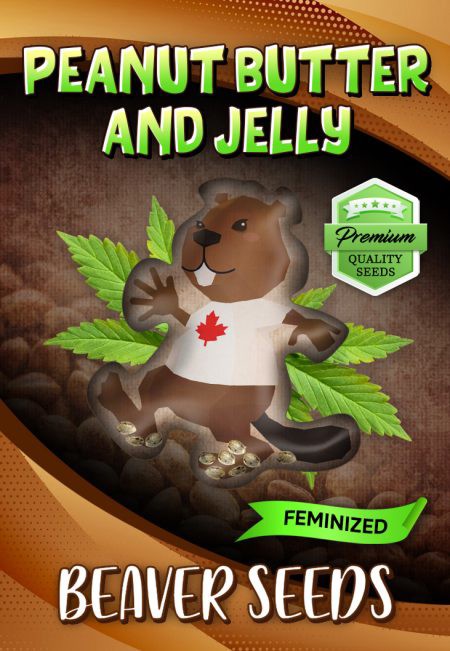 Peanut Butter and Jelly-image