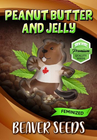 Peanut Butter and Jelly