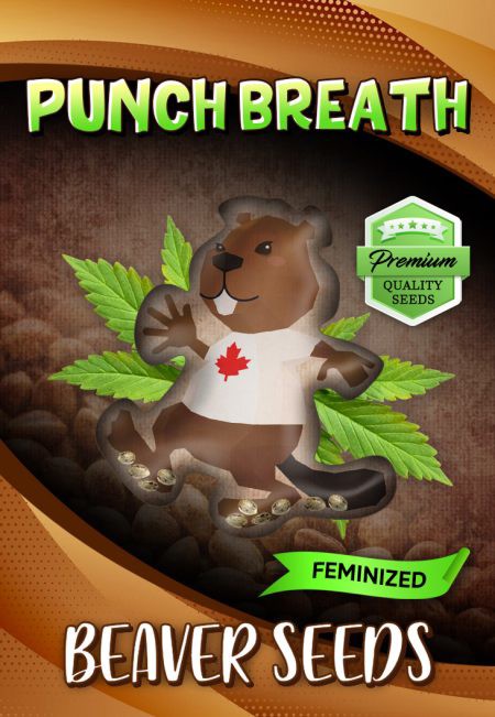 Punch Breath-image