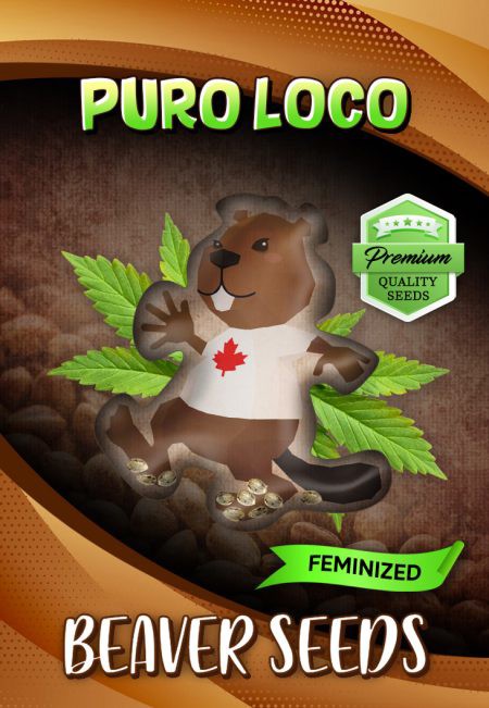 Puro Loco-image