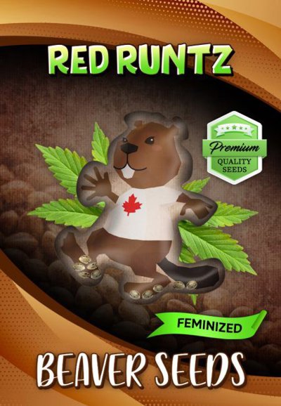 Red Runtz