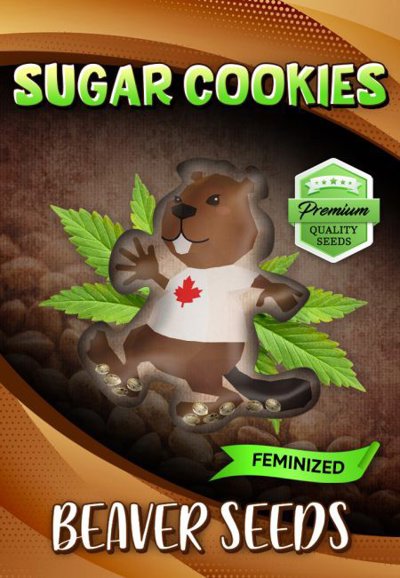 Sugar Cookies