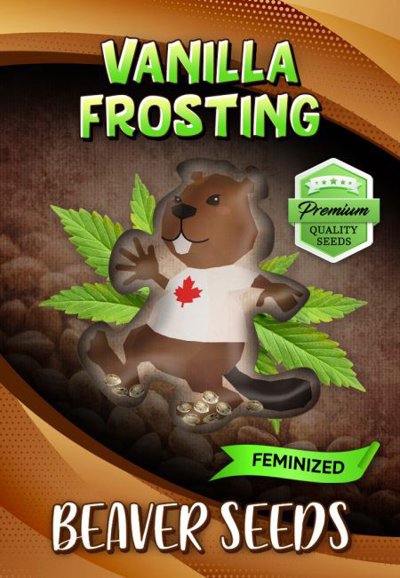 Vanilla Frosting