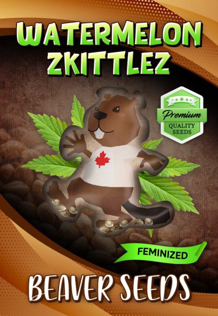 Watermelon Zkittlez-image