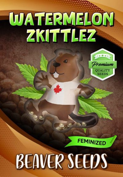 Watermelon Zkittlez