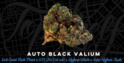 auto-black-valium-image
