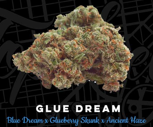glue-dream-image
