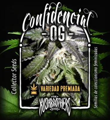 Confidencial OG