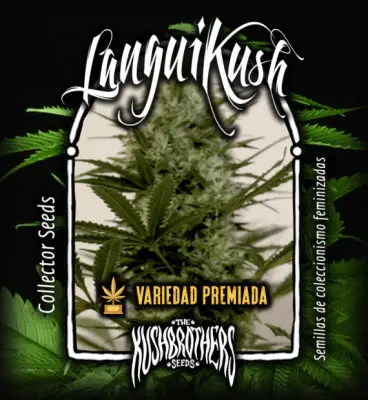 Langui Kush