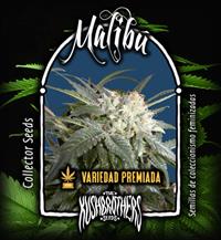 Malibú