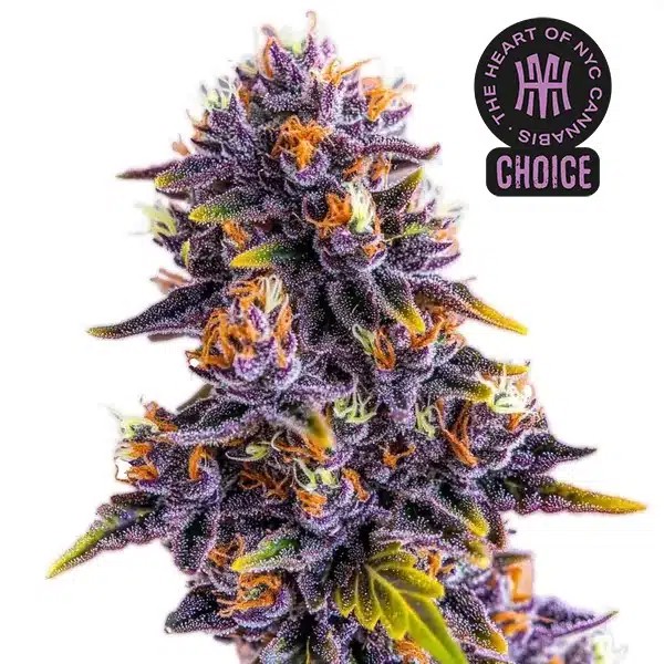 Purple Star Killer HMC Edition-image