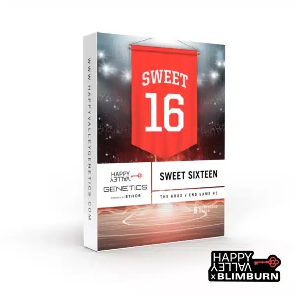 Sweet 16-image