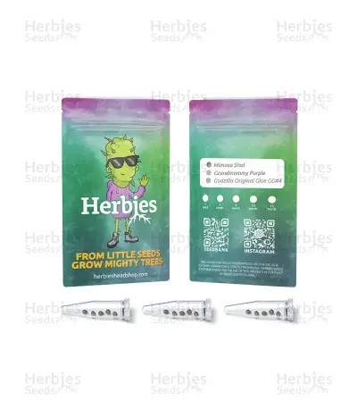 Heavy Kickers US Mix-image