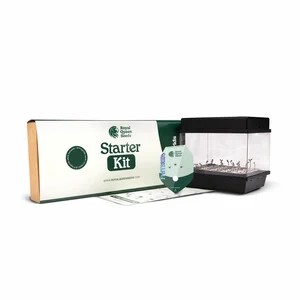 Starter Kit F1 Hybrid-image
