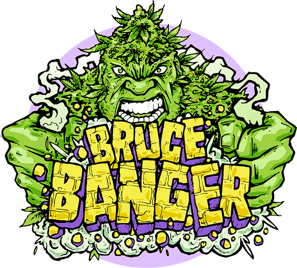 bruce-banger-fast-image